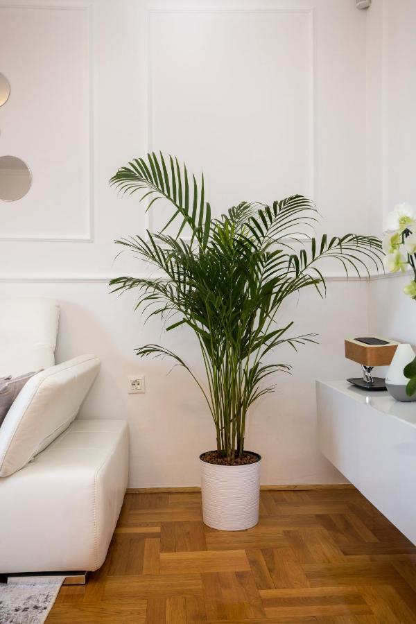 Apartment Parentium بوريتش المظهر الخارجي الصورة
